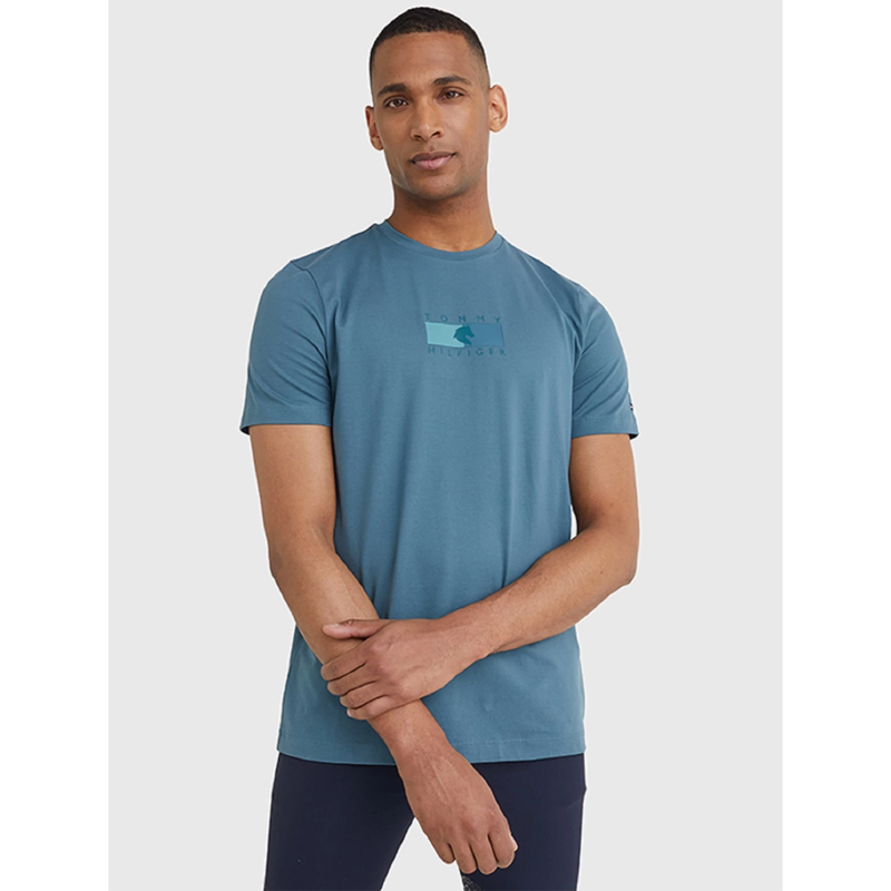 Tommy Hilfiger Men's Burned Out Logo T-Shirt - Mercury Marine-1